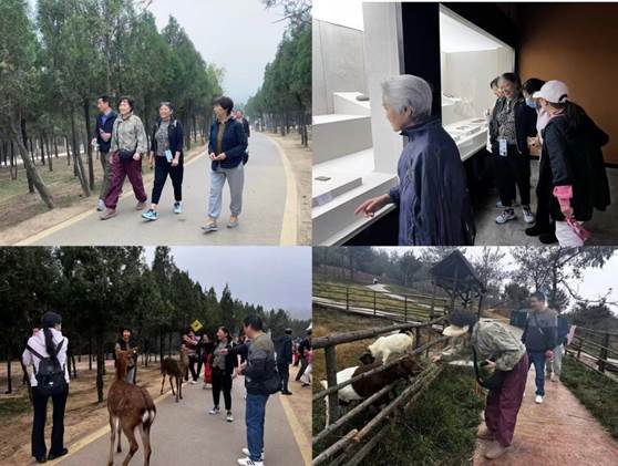 说明: 微信图片_20241018110229.jpg